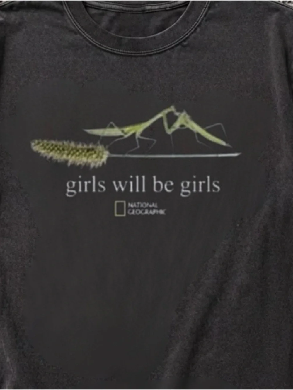 Mantis Graphic Tee National Geographic Nature T-Shirt Black
